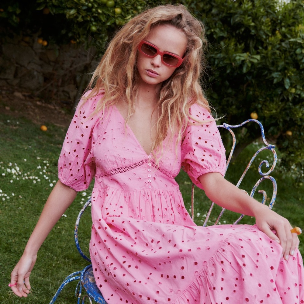 Zara Openwork Embroidered Dress